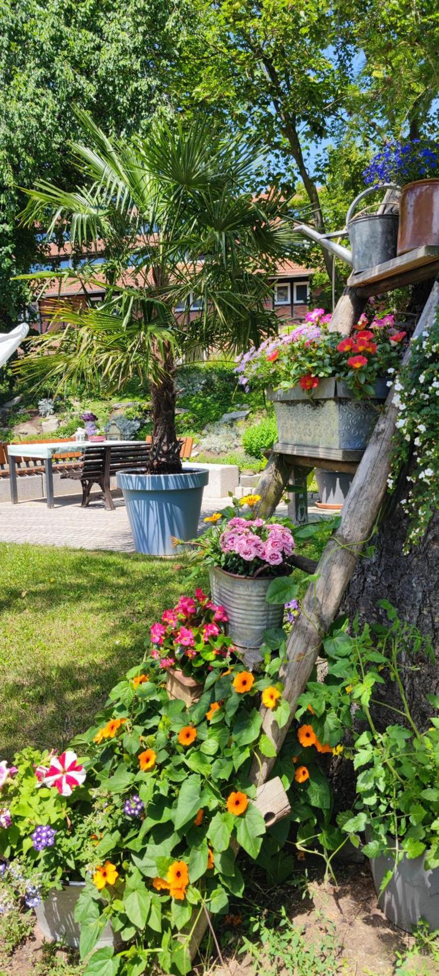 Apartment Im Gruenen Mit Anbindung Ans Zentrum Эрфурт Экстерьер фото