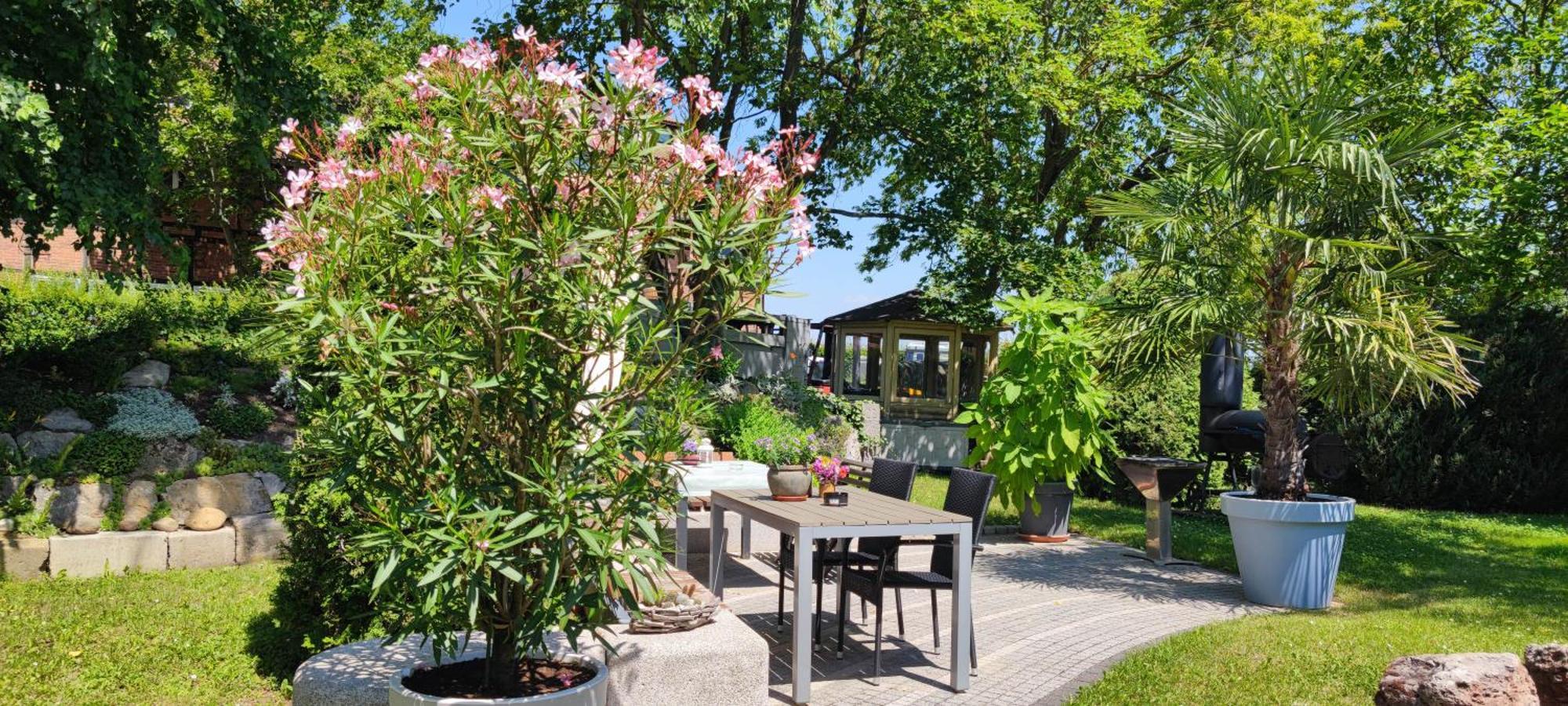 Apartment Im Gruenen Mit Anbindung Ans Zentrum Эрфурт Экстерьер фото